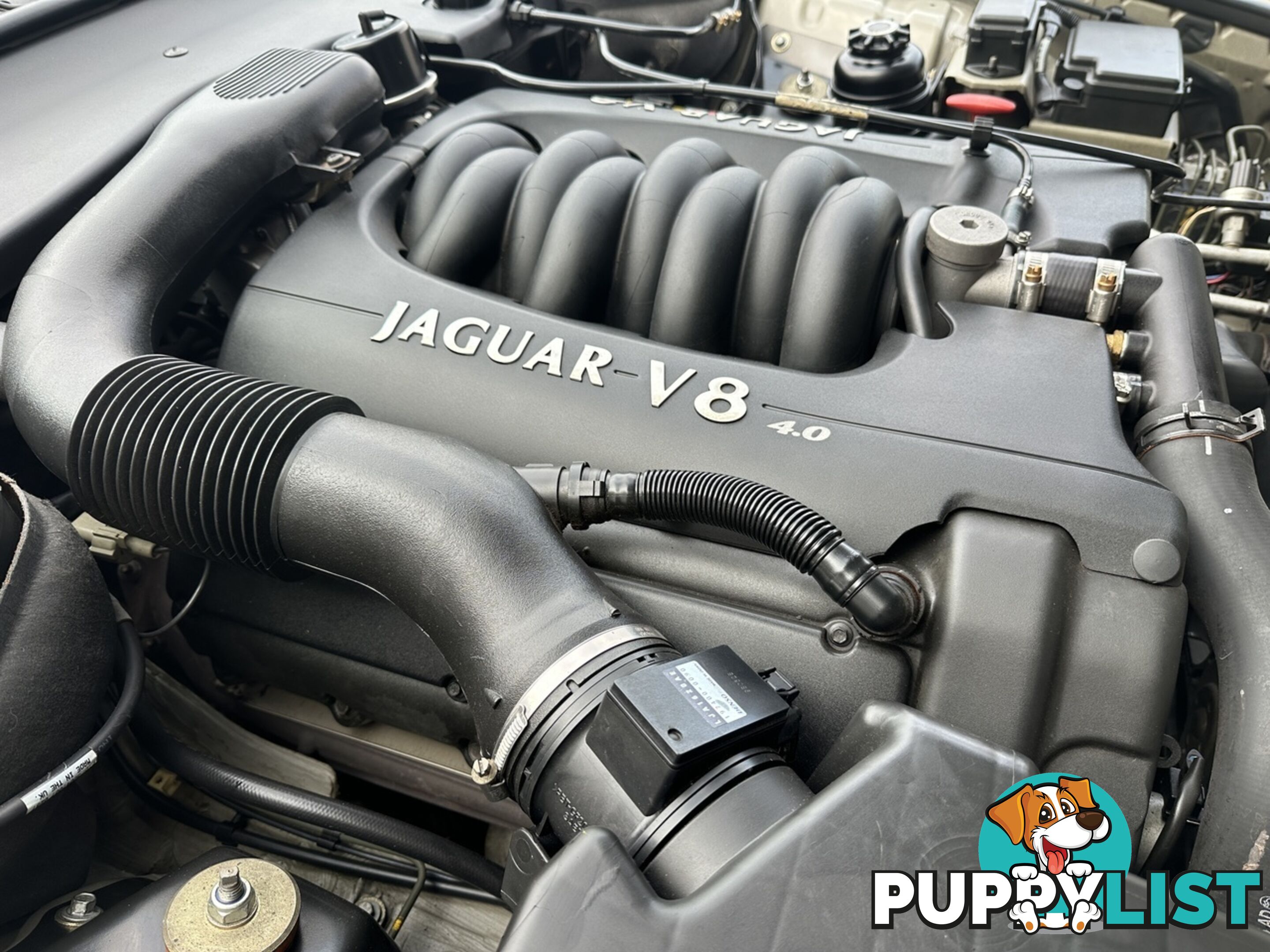 1998 JAGUAR SOVEREIGN  1999 X308 SEDAN