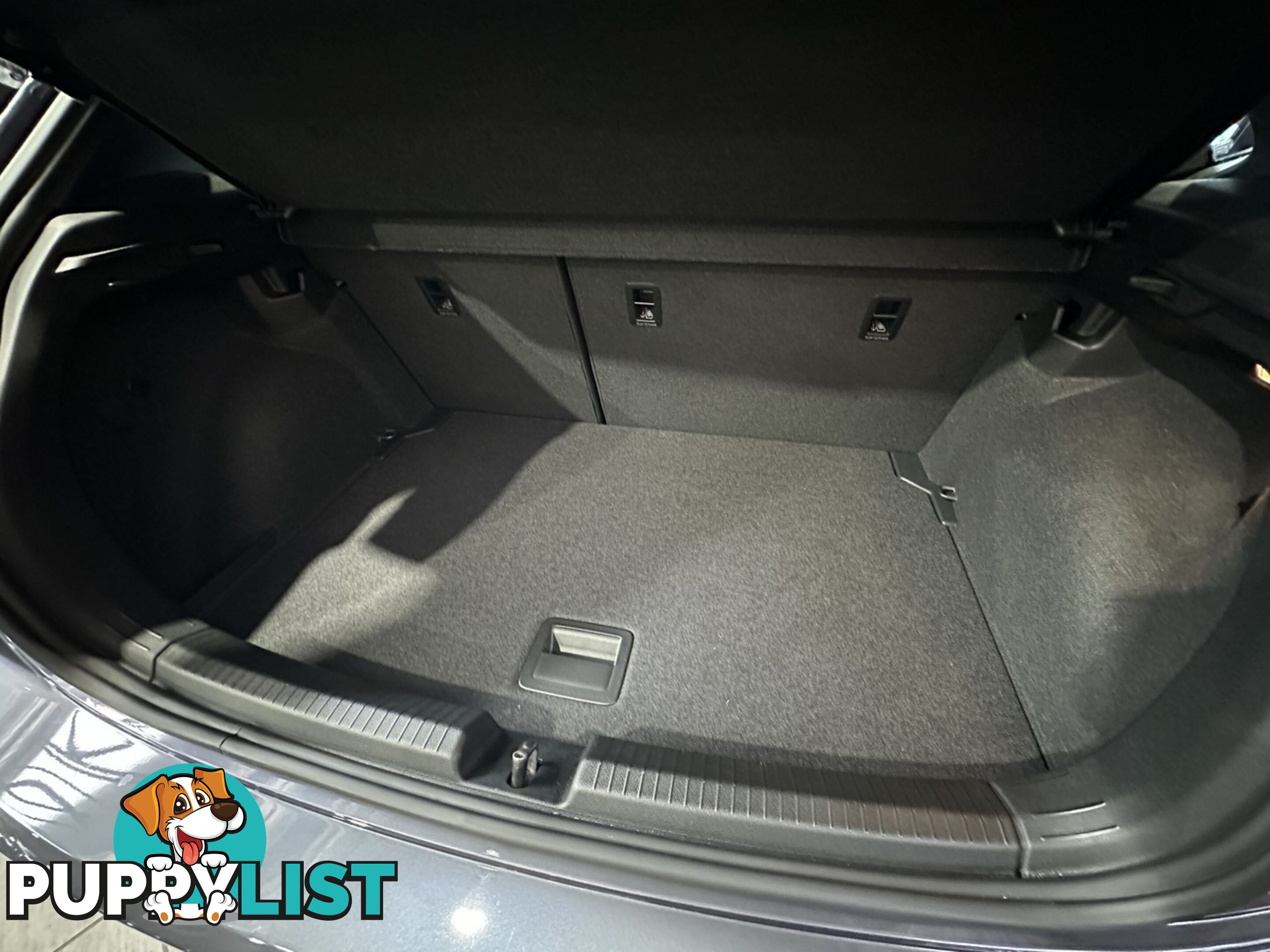 2024 VOLKSWAGEN POLO  AE MY24 GTI DSG AUTOMATIC HATCHBACK