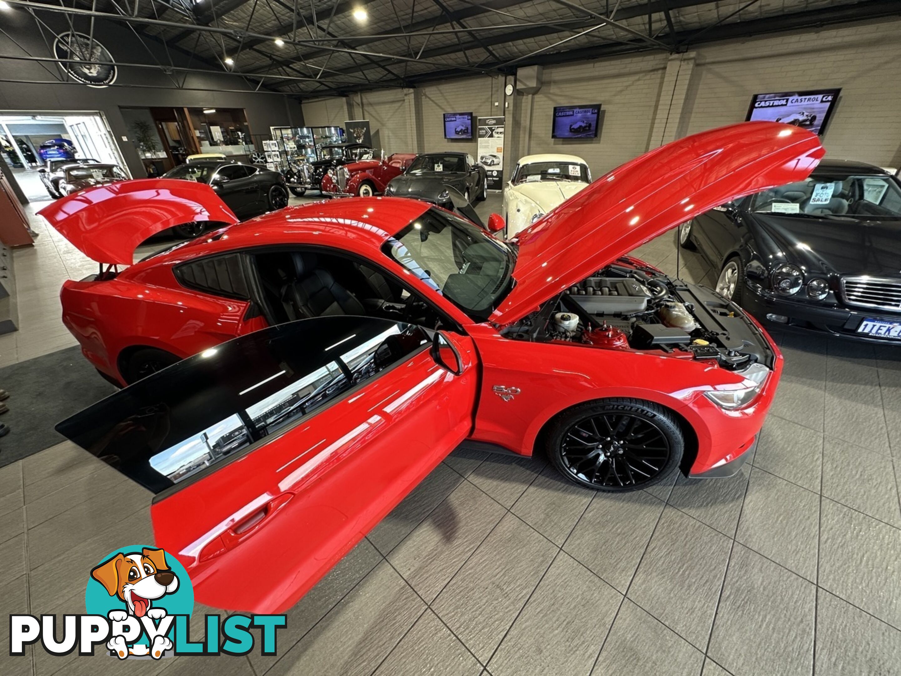 2016 FORD MUSTANG  FM GT FASTBACK SELECTSHIFT AUTOMATIC FASTBACK - COUPE