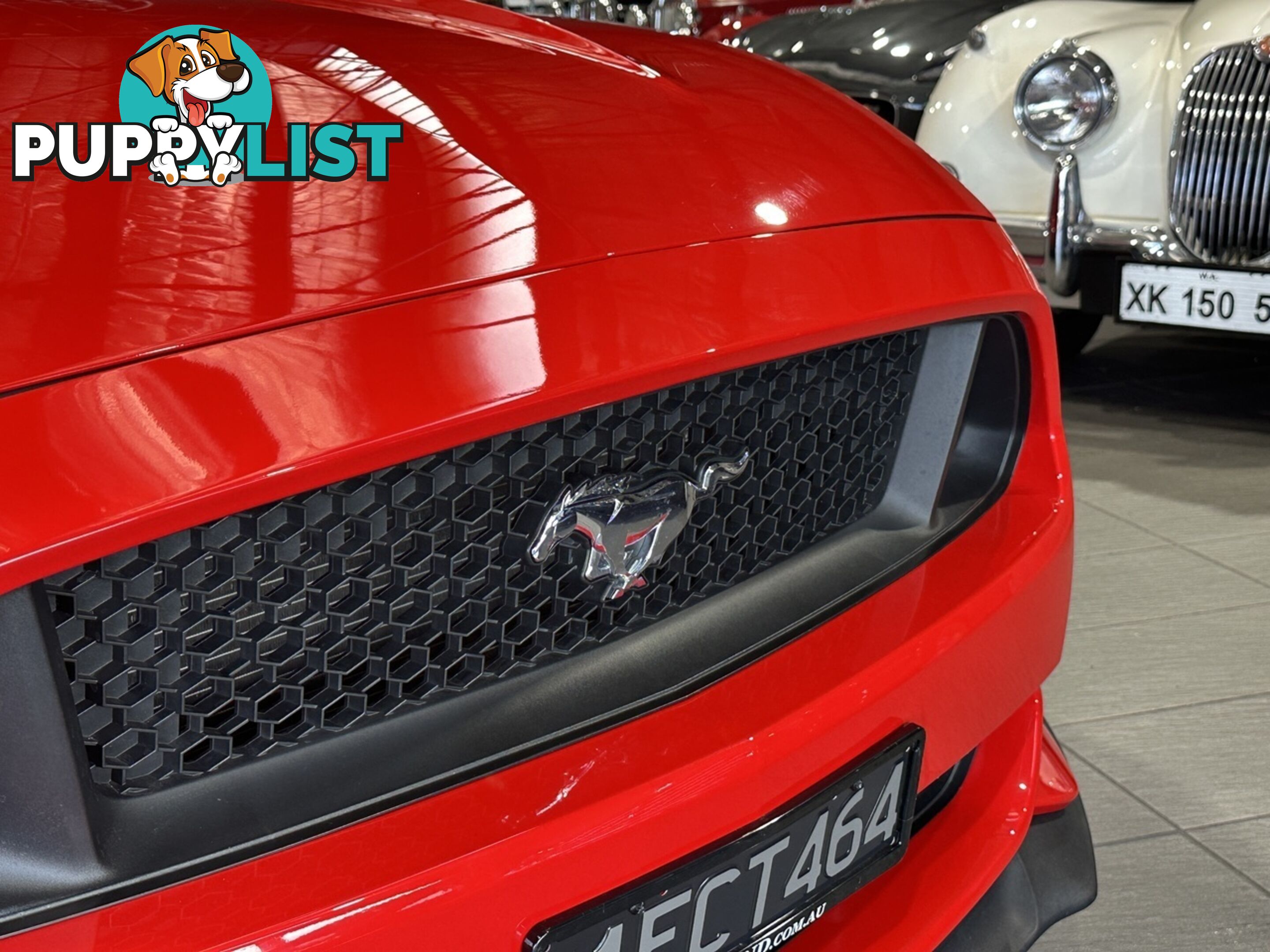 2016 FORD MUSTANG  FM GT FASTBACK SELECTSHIFT AUTOMATIC FASTBACK - COUPE