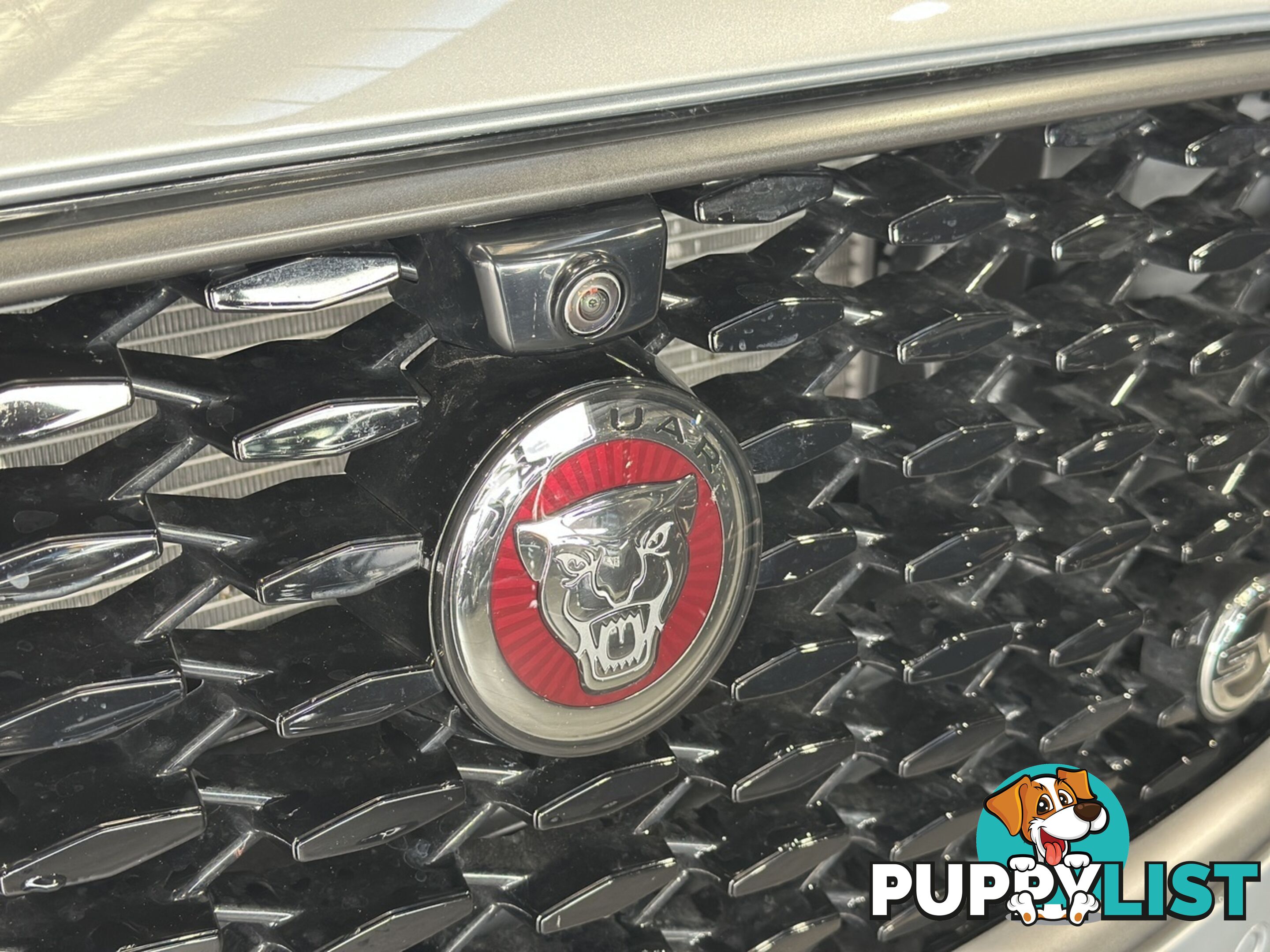 2022 JAGUAR F-PACE  X761 22MY SVR AUTOMATIC WAGON