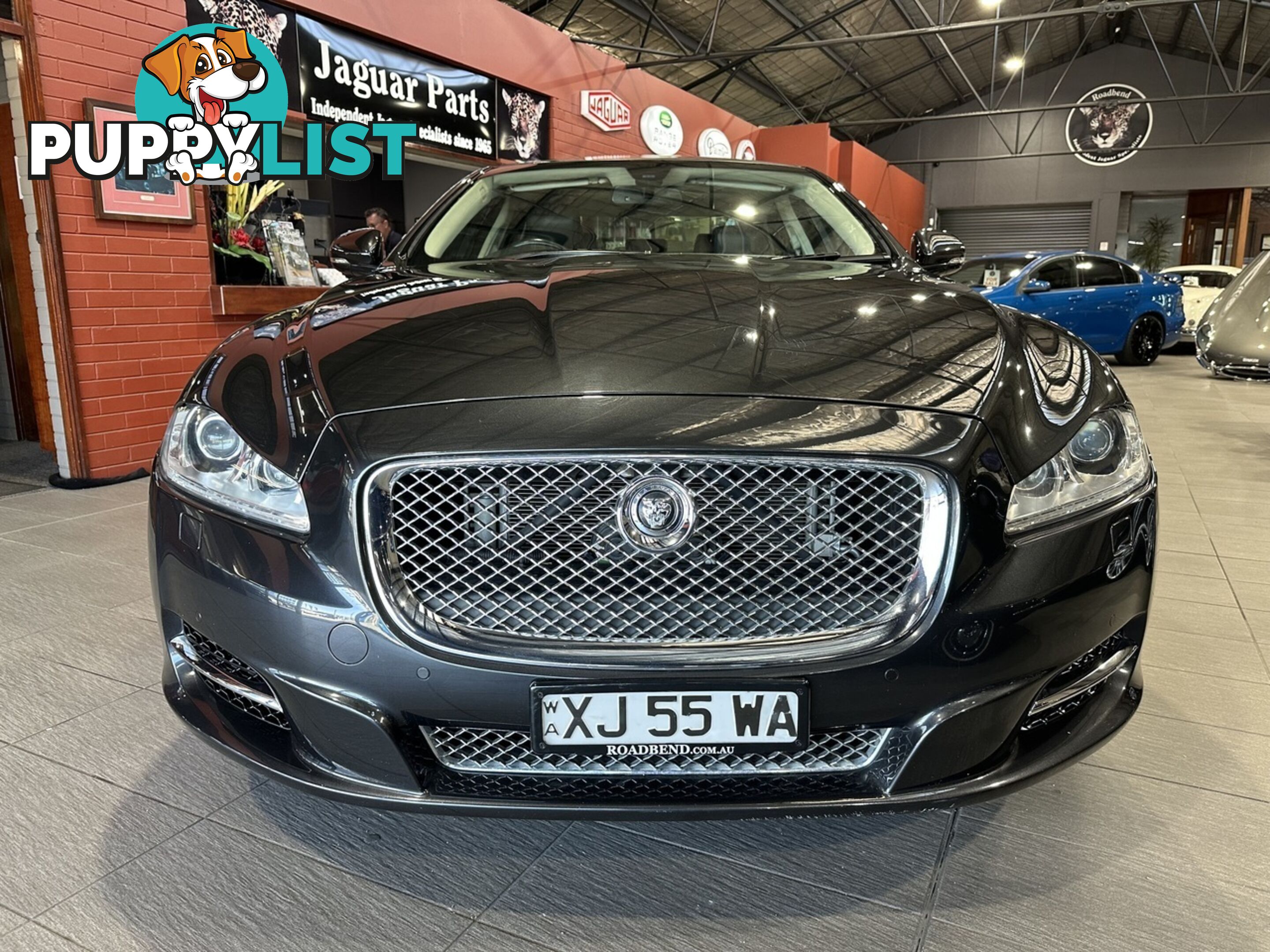 2012 JAGUAR XJ  X351 12MY PREMIUM SWB LUXURY AUTOMATIC SEDAN