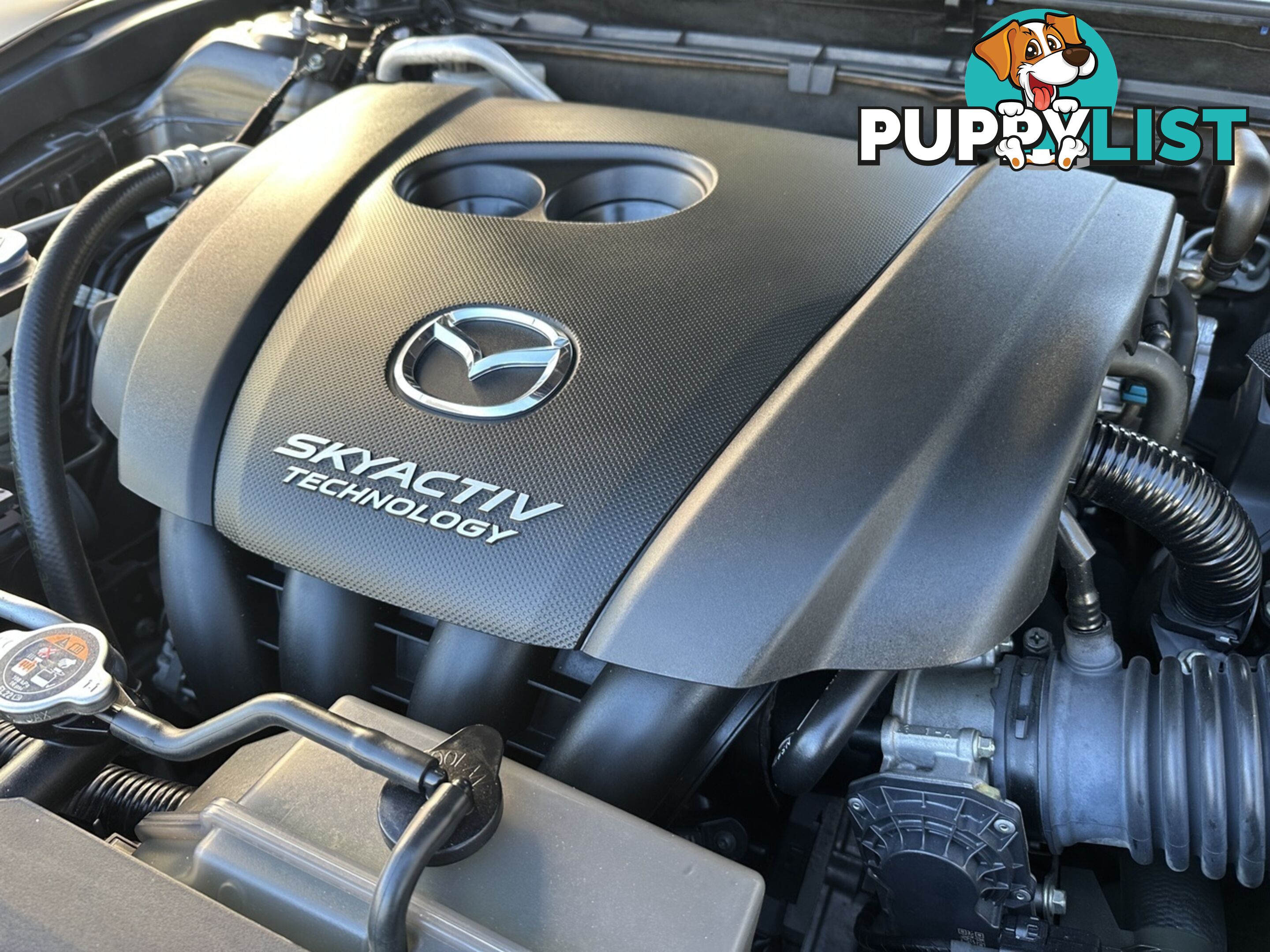 2014 MAZDA 3  BM5436 SP25 SKYACTIV-MT HATCHBACK