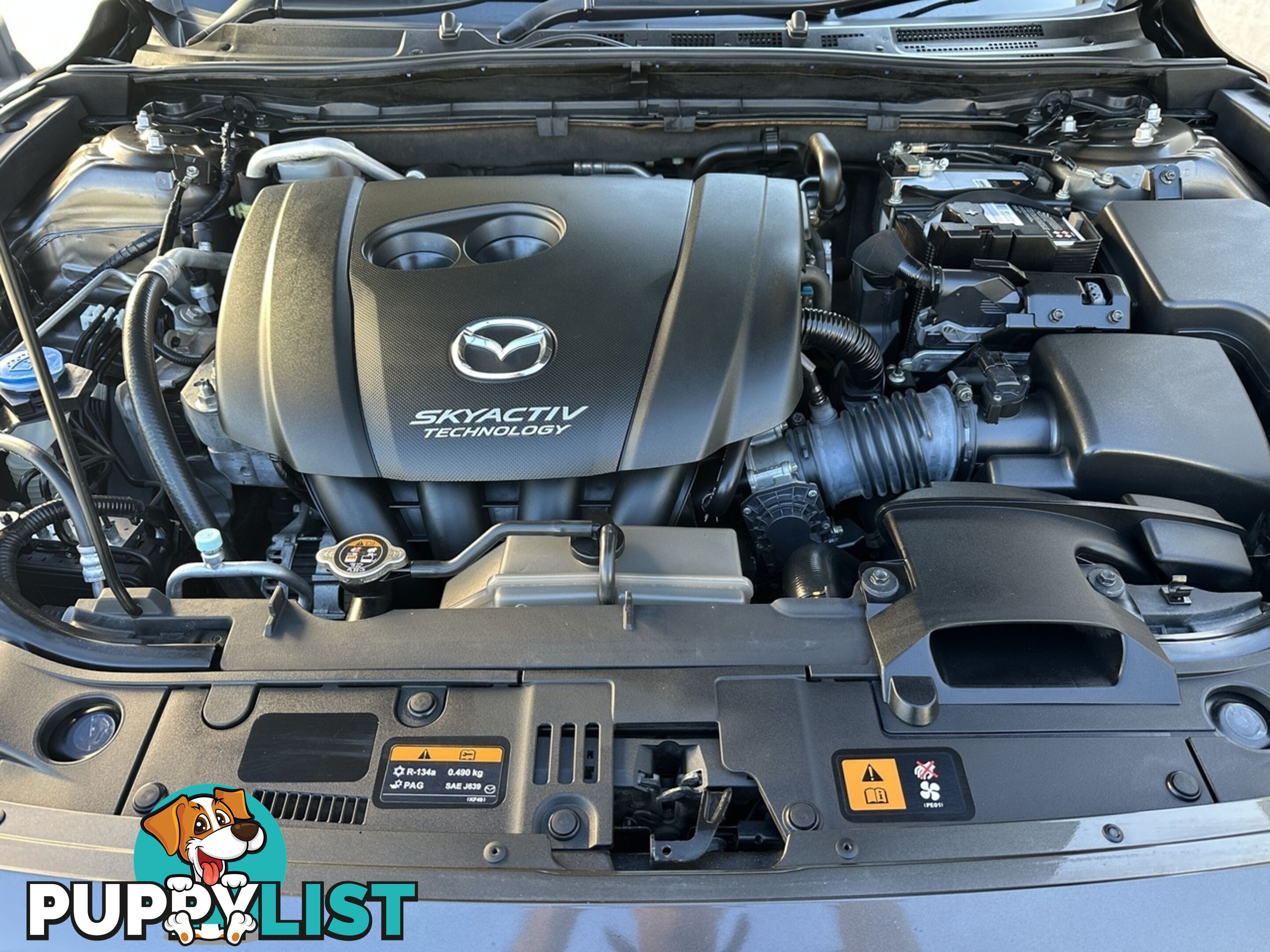 2014 MAZDA 3  BM5436 SP25 SKYACTIV-MT HATCHBACK
