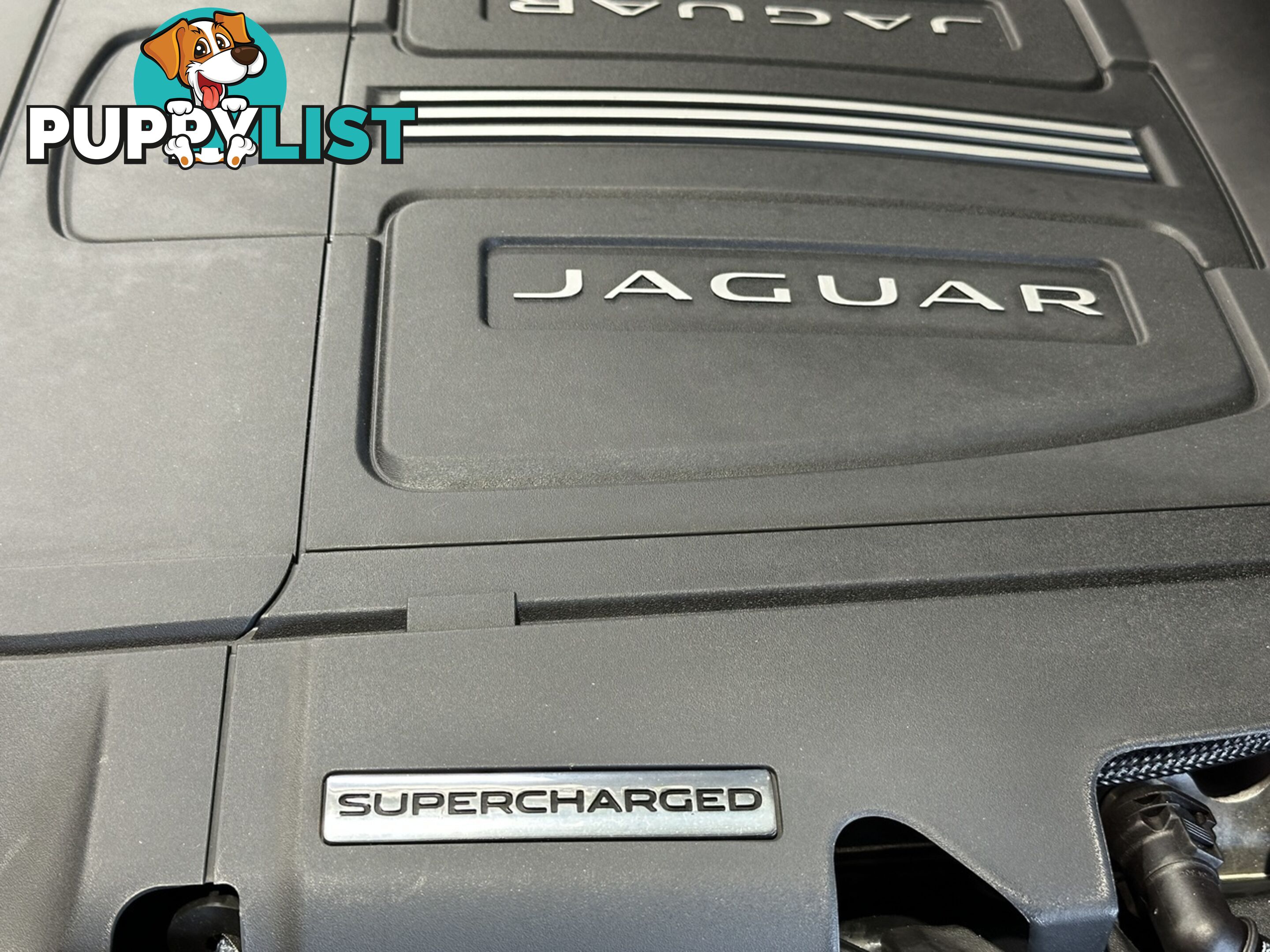 2013 JAGUAR F-TYPE  X152 14MY AUTOMATIC CONVERTIBLE