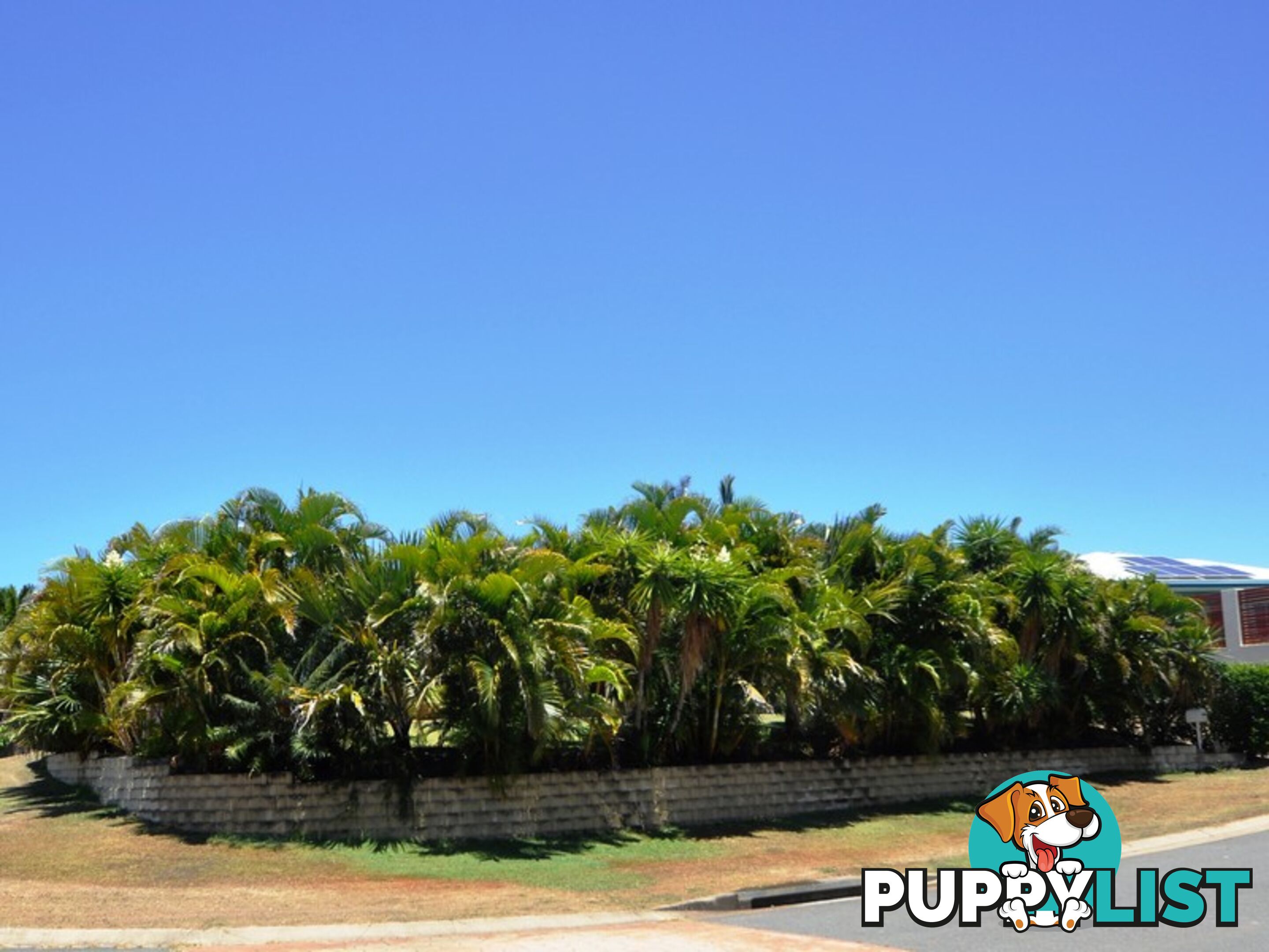 14 Adventurer Drive YEPPOON QLD 4703