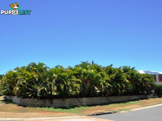 14 Adventurer Drive YEPPOON QLD 4703