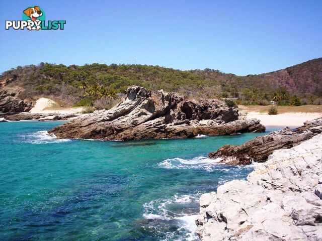 LOT 9 Svendsen's Beach GREAT KEPPEL ISLAND QLD 4700