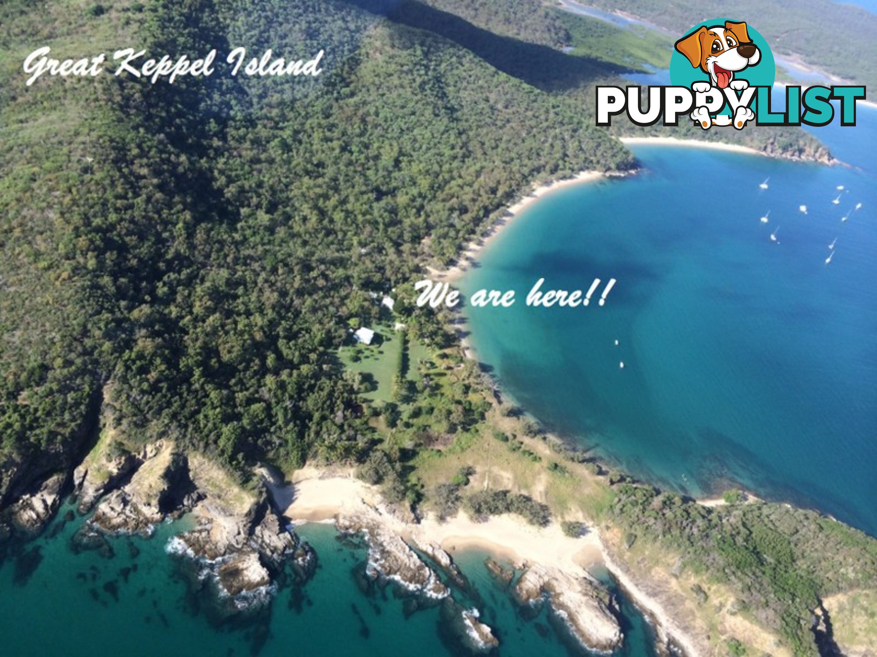 LOT 9 Svendsen's Beach GREAT KEPPEL ISLAND QLD 4700