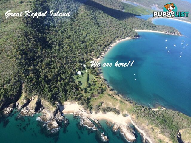 LOT 9 Svendsen's Beach GREAT KEPPEL ISLAND QLD 4700