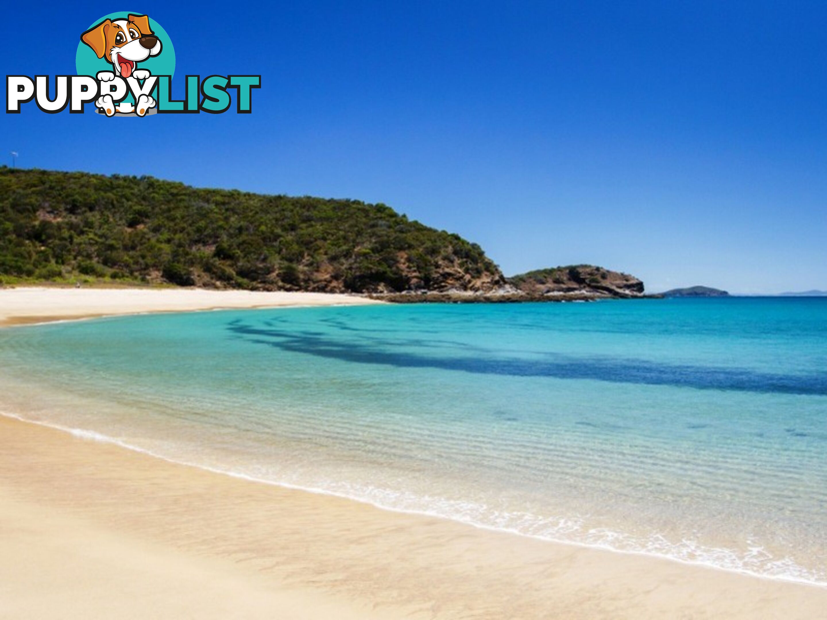 LOT 9 Svendsen's Beach GREAT KEPPEL ISLAND QLD 4700