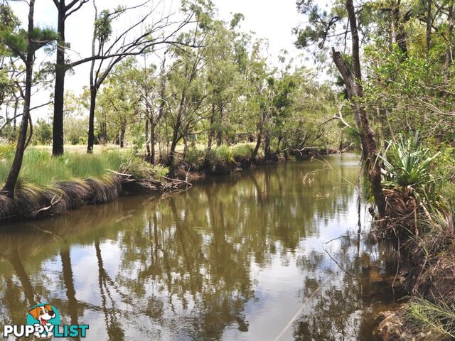 56 Bondoola Road BONDOOLA QLD 4703