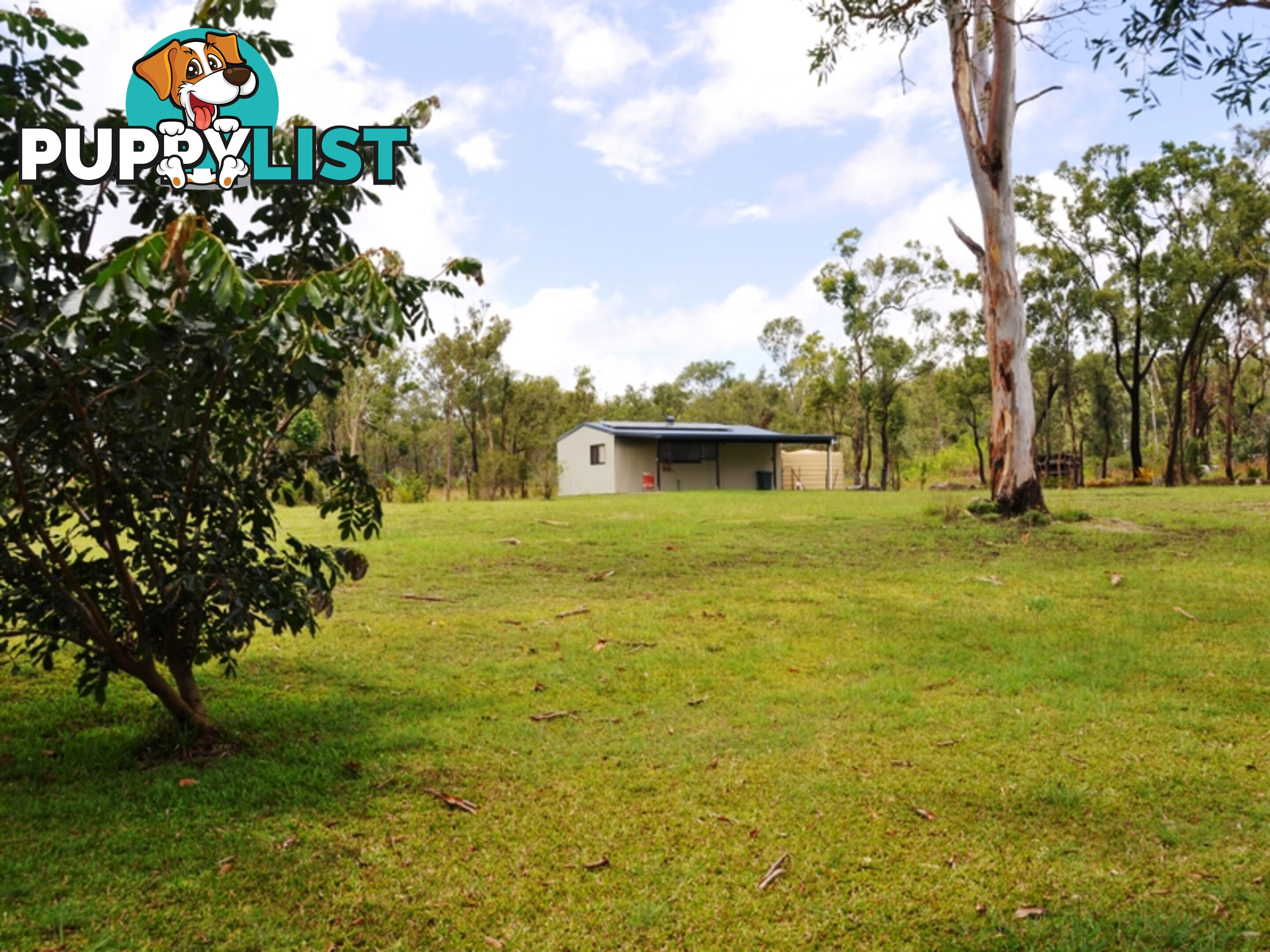 56 Bondoola Road BONDOOLA QLD 4703