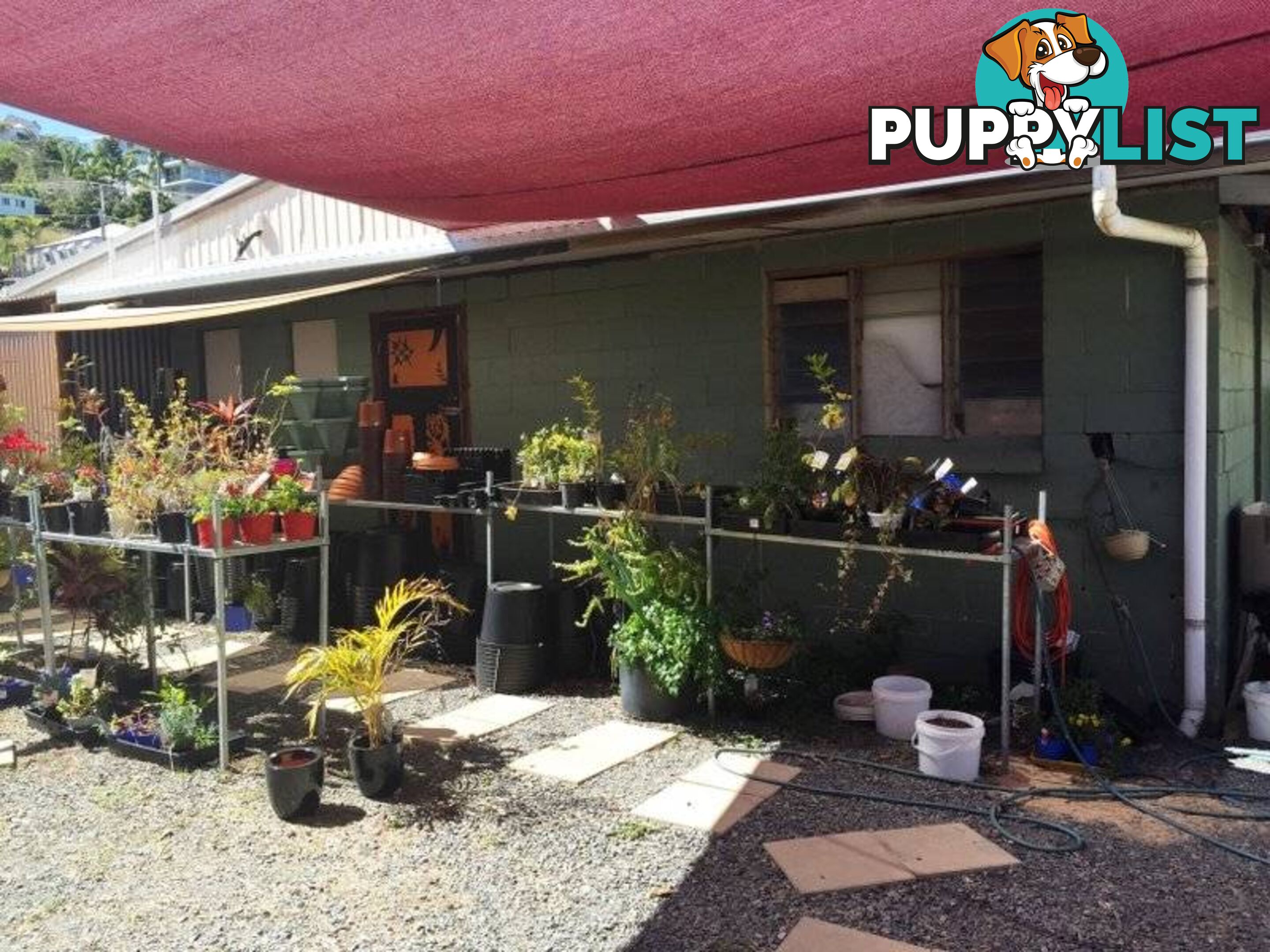 'The Green Shed'/32 Mary Street YEPPOON QLD 4703