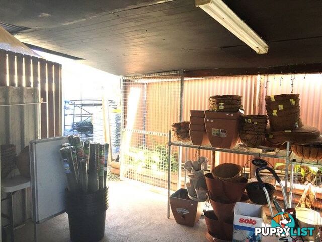 'The Green Shed'/32 Mary Street YEPPOON QLD 4703