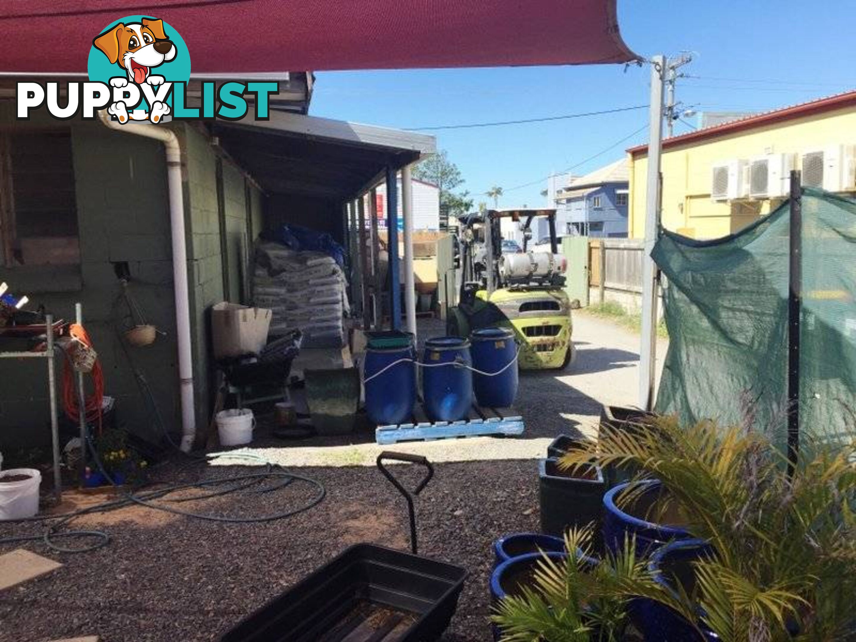 'The Green Shed'/32 Mary Street YEPPOON QLD 4703