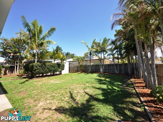 15 Frangipani Drive LAMMERMOOR QLD 4703