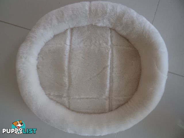 CAT BED NEW $5