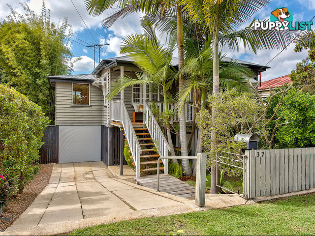 37 Clifford Street STAFFORD QLD 4053