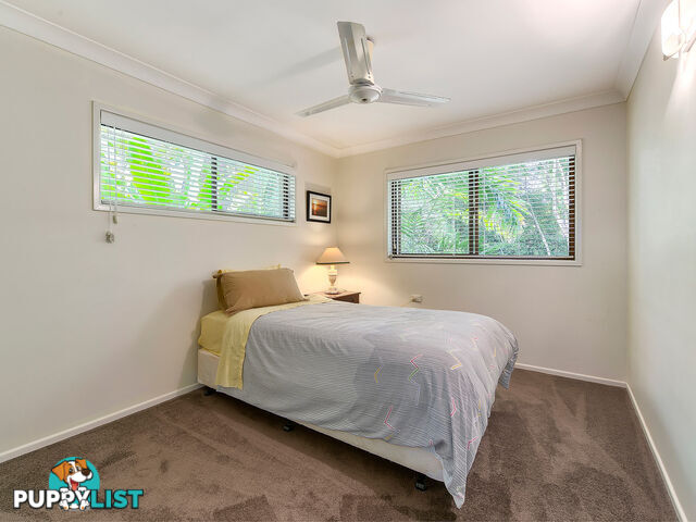 50 Pangeza Street STAFFORD HEIGHTS QLD 4053