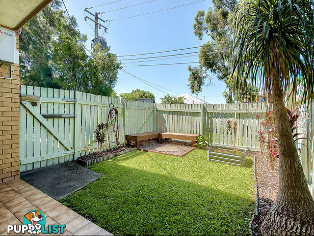 3/9 Denman Street ALDERLEY QLD 4051