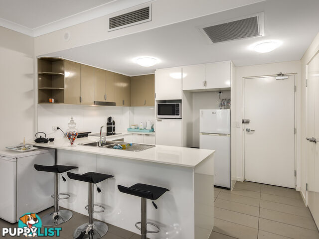 8/33 Florrie Street LUTWYCHE QLD 4030