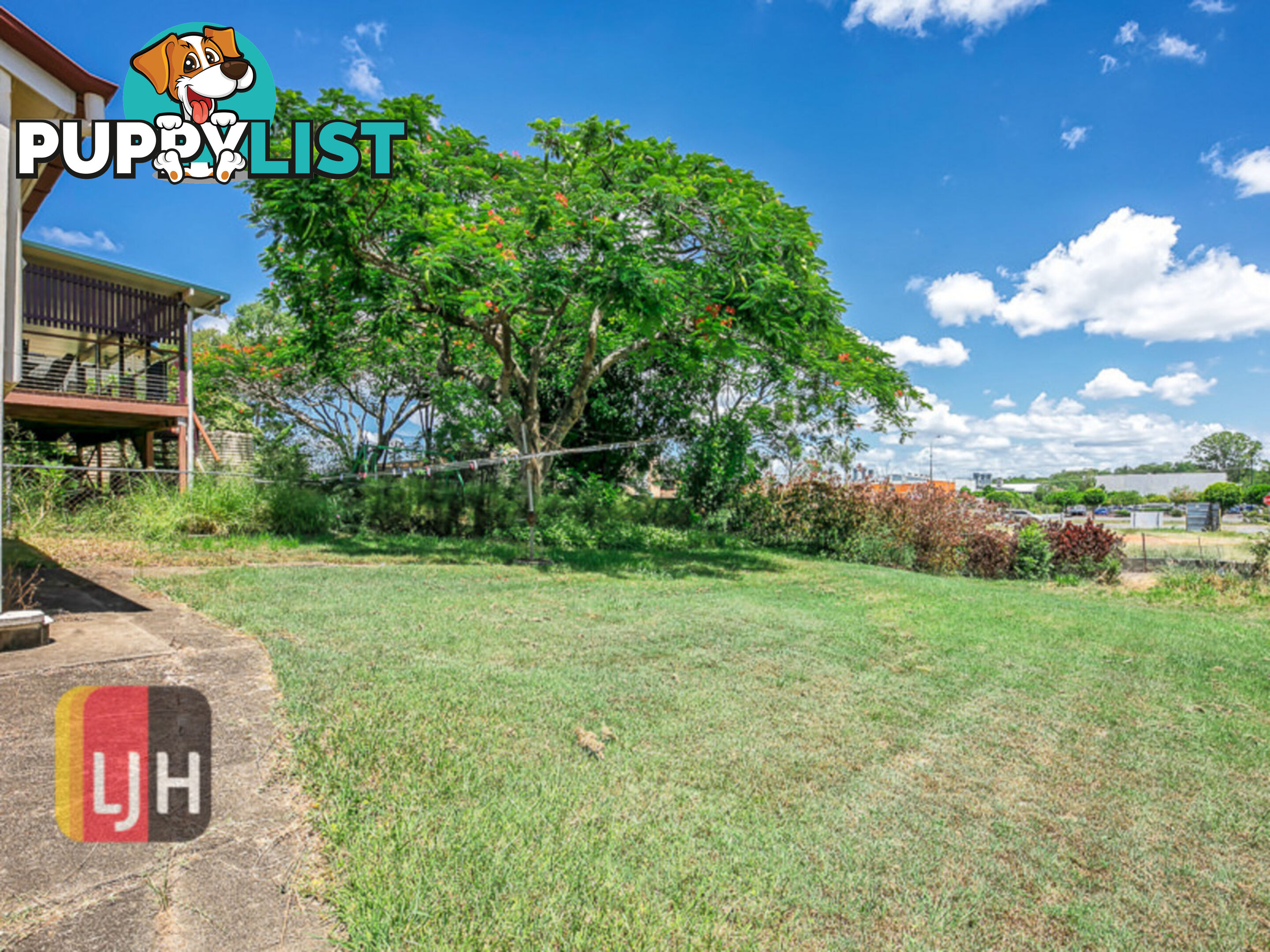 56 Harold Street STAFFORD QLD 4053