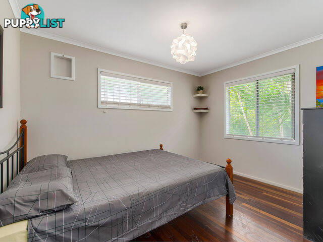 3 Halton Street STAFFORD HEIGHTS QLD 4053