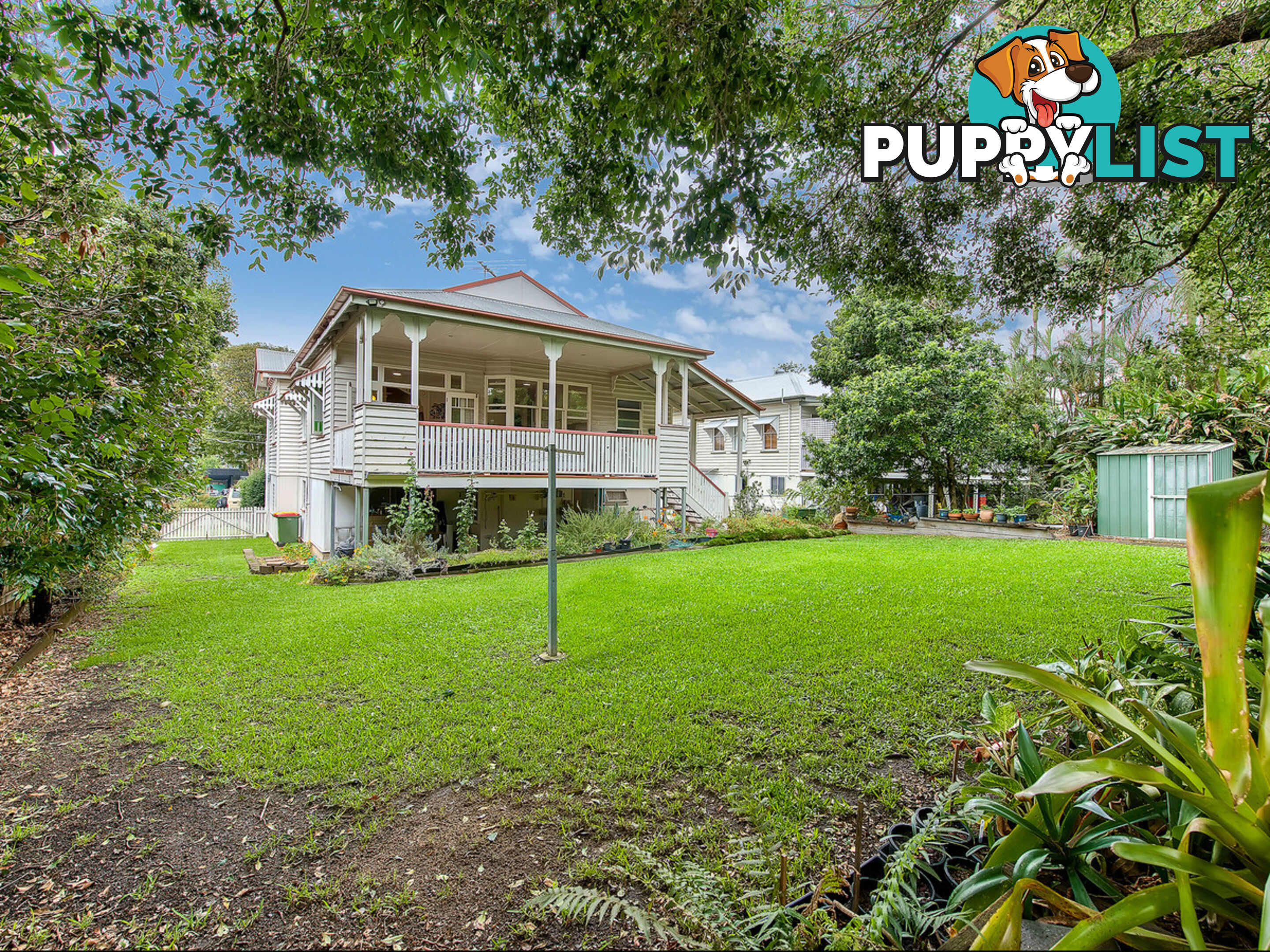 17 Myrtle Street GRANGE QLD 4051