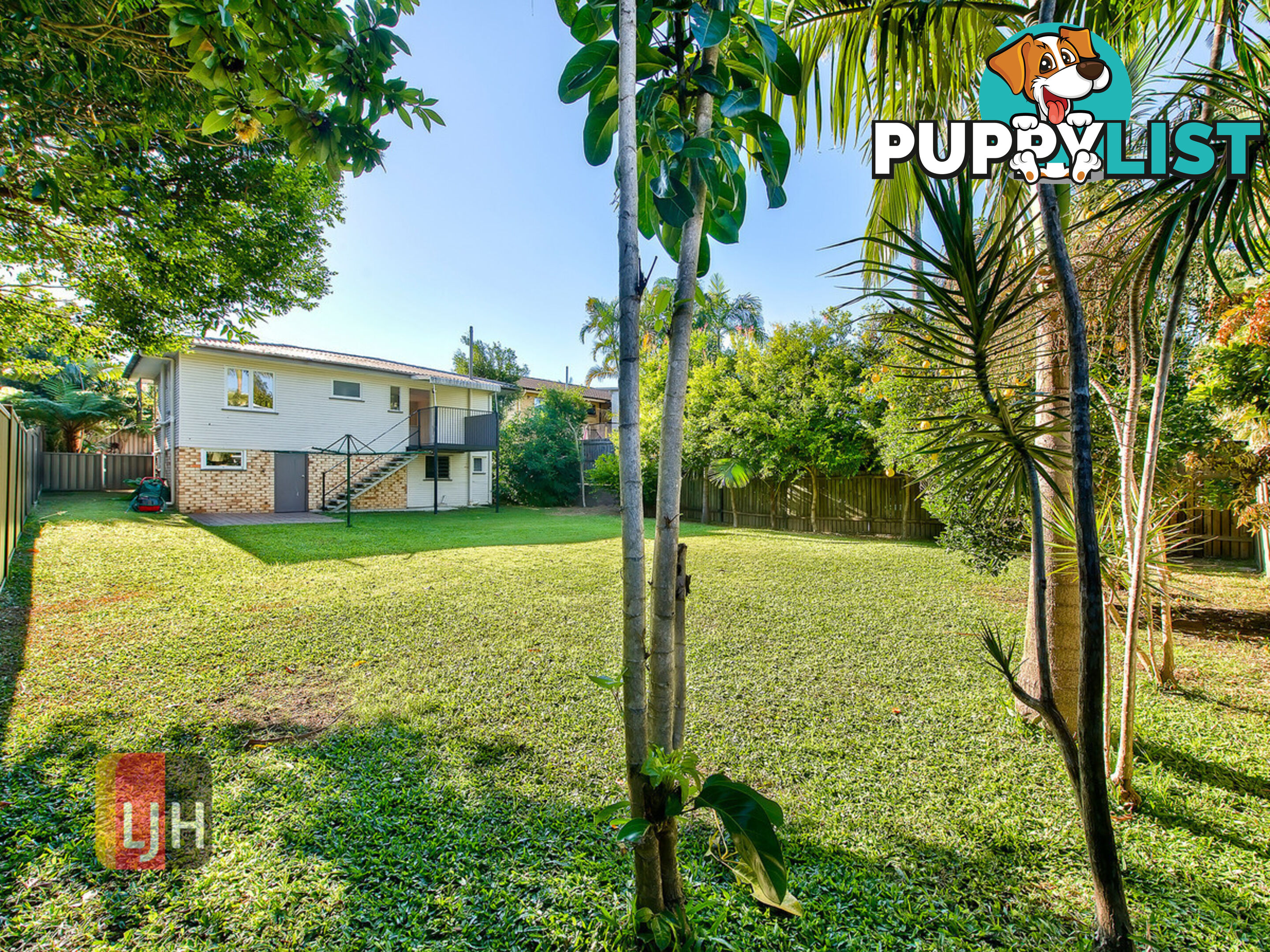 15 Camelia Avenue EVERTON HILLS QLD 4053