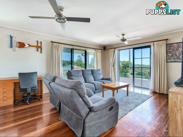 17 Achilles Street KEDRON QLD 4031