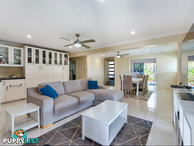 17 Achilles Street KEDRON QLD 4031