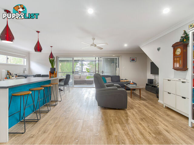 31 Cullen Street WINDSOR QLD 4030