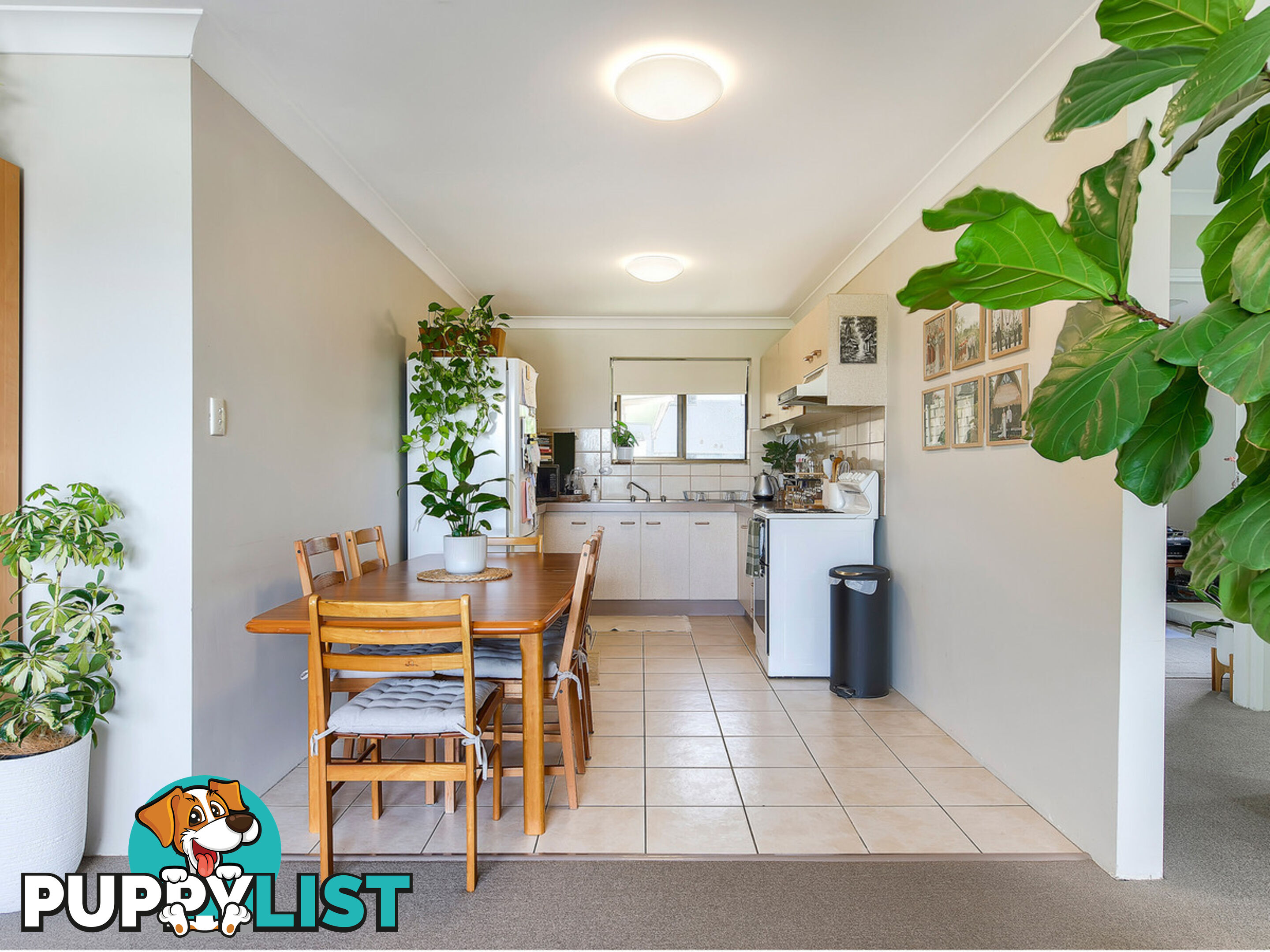 1-8/36 Bonython Street WINDSOR QLD 4030