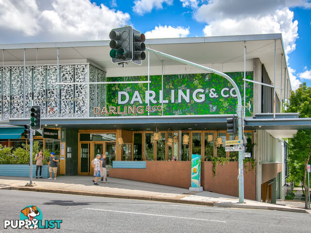 95 Guthrie Street PADDINGTON QLD 4064