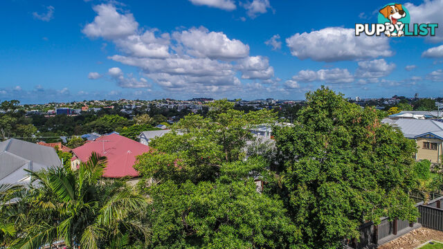 22 Victoria Terrace GORDON PARK QLD 4031