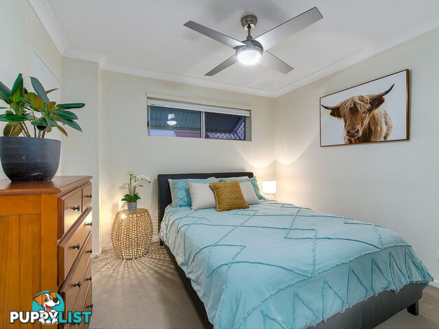 1/11 Franklin Street KELVIN GROVE QLD 4059