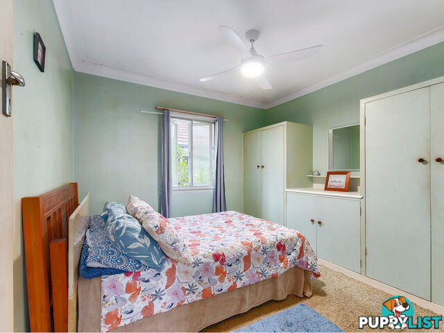 41 Burrowa Street STAFFORD QLD 4053
