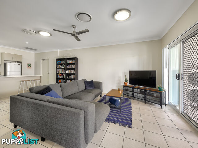 6/23 Thomas Street CLAYFIELD QLD 4011