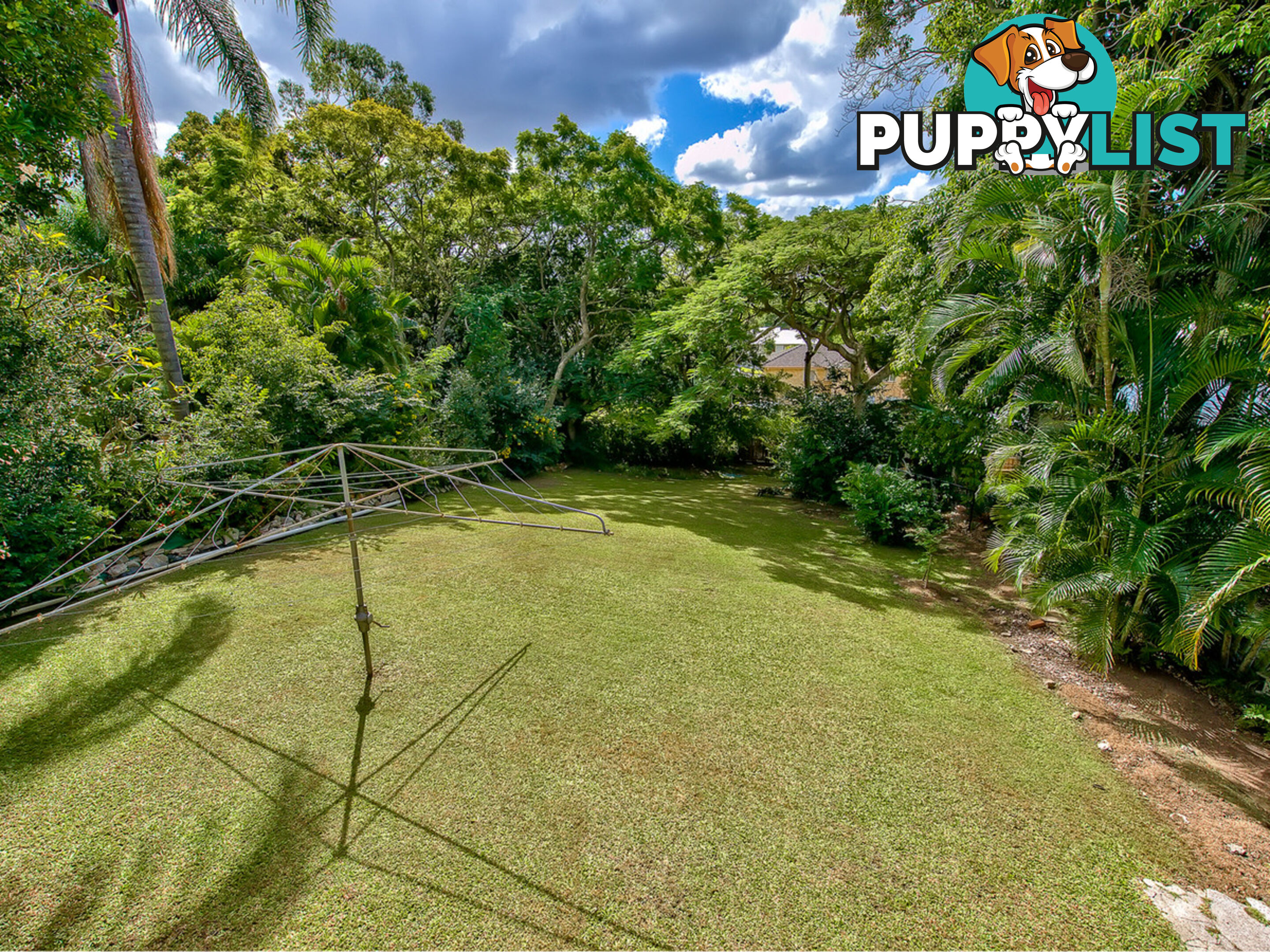 41 Willmington Street NEWMARKET QLD 4051