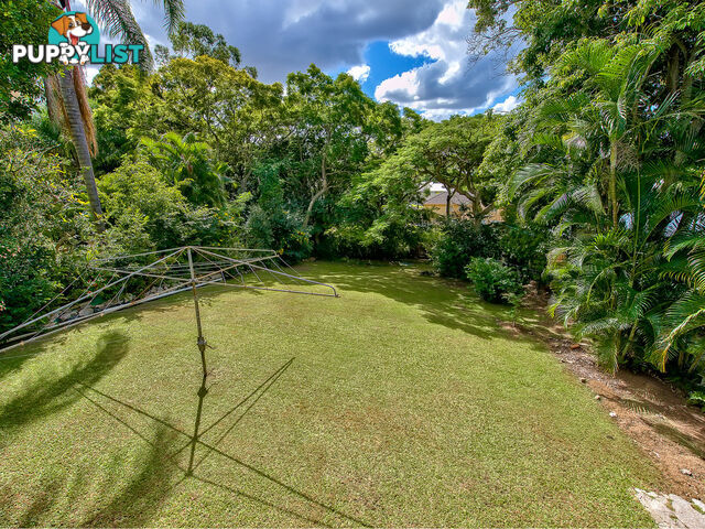 41 Willmington Street NEWMARKET QLD 4051