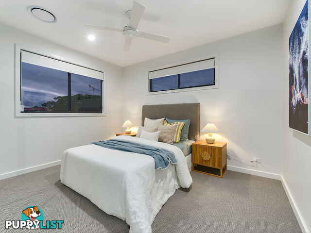 60 Winchester Street HAMILTON QLD 4007