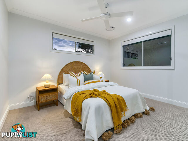 58 Winchester Street HAMILTON QLD 4007