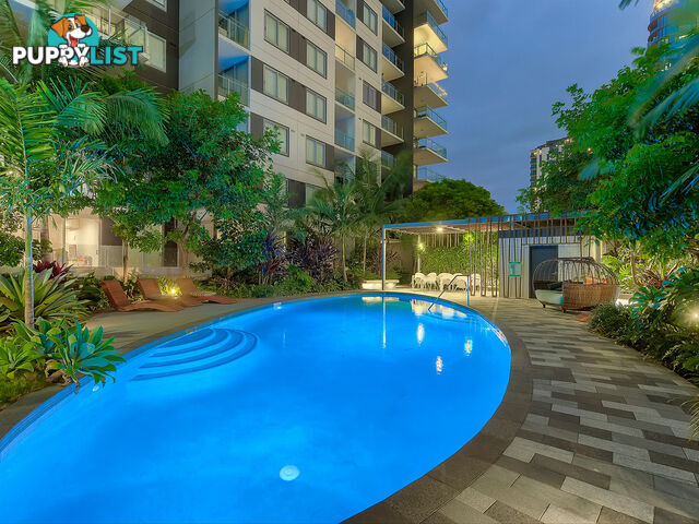 20404/33 Manning Street SOUTH BRISBANE QLD 4101