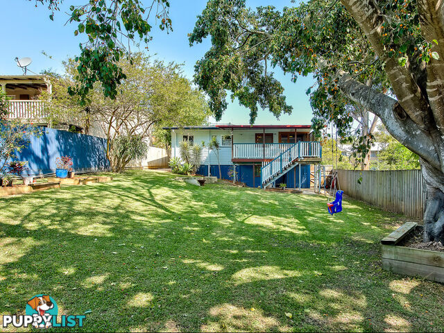 313 Kitchener Road STAFFORD HEIGHTS QLD 4053