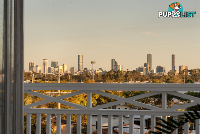16 Turrana Street STAFFORD QLD 4053