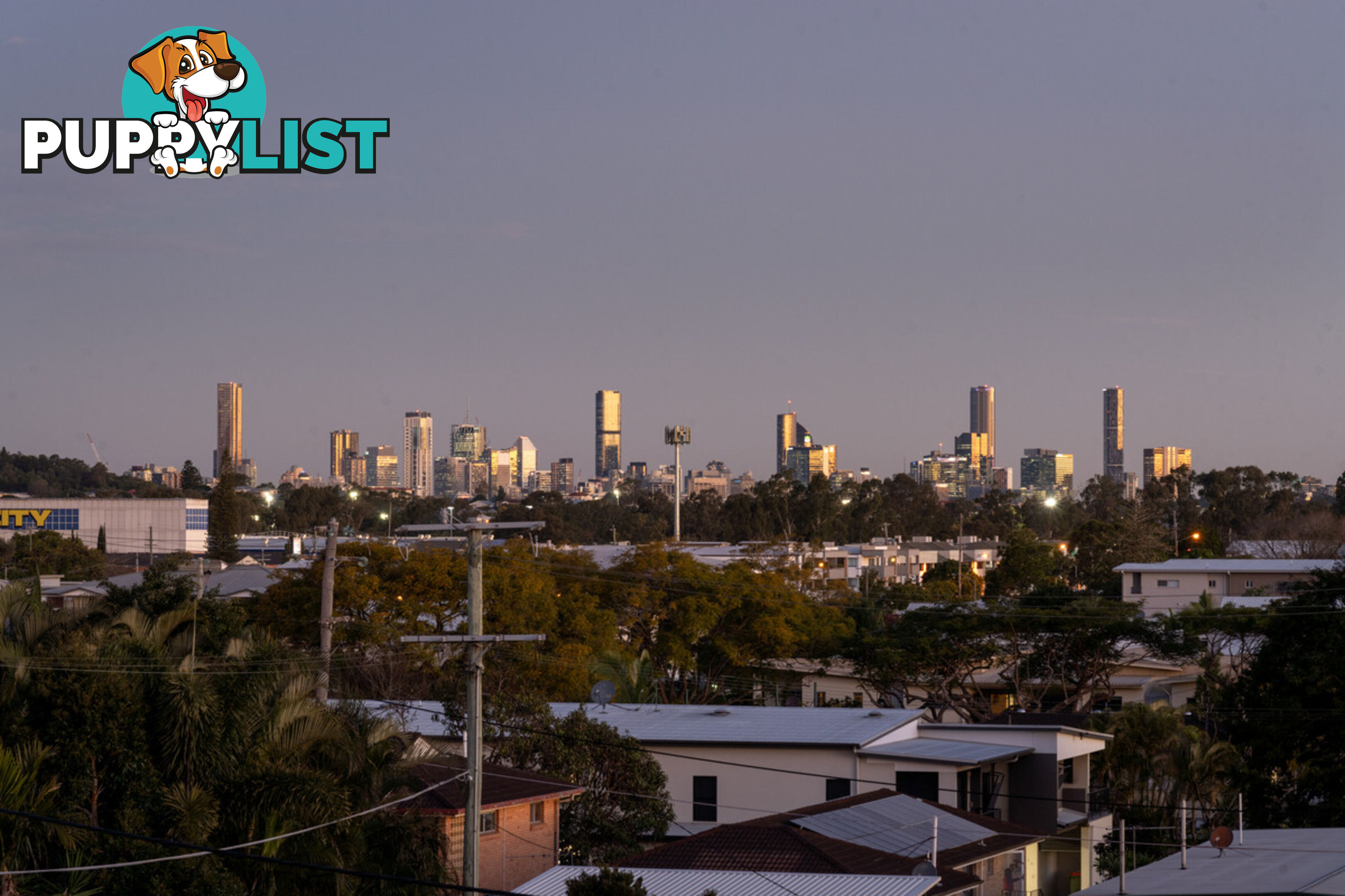 16 Turrana Street STAFFORD QLD 4053