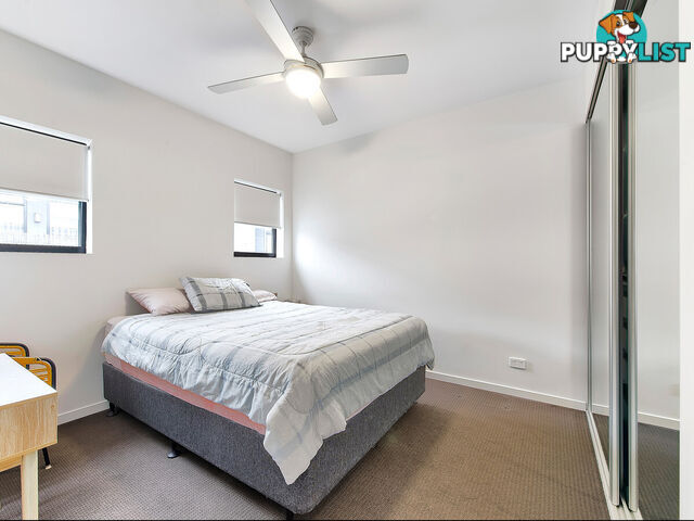 504/25-29 Felix Street LUTWYCHE QLD 4030