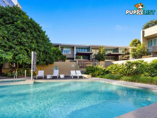 2/20 Newstead Terrace NEWSTEAD QLD 4006