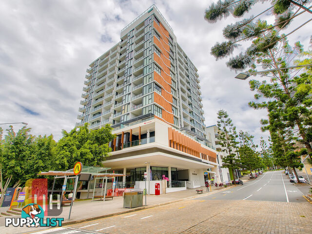 808/31 Musk Avenue KELVIN GROVE QLD 4059